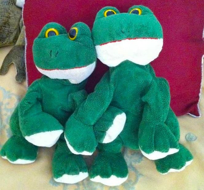 Bethany's Frog. Billy's Frog.