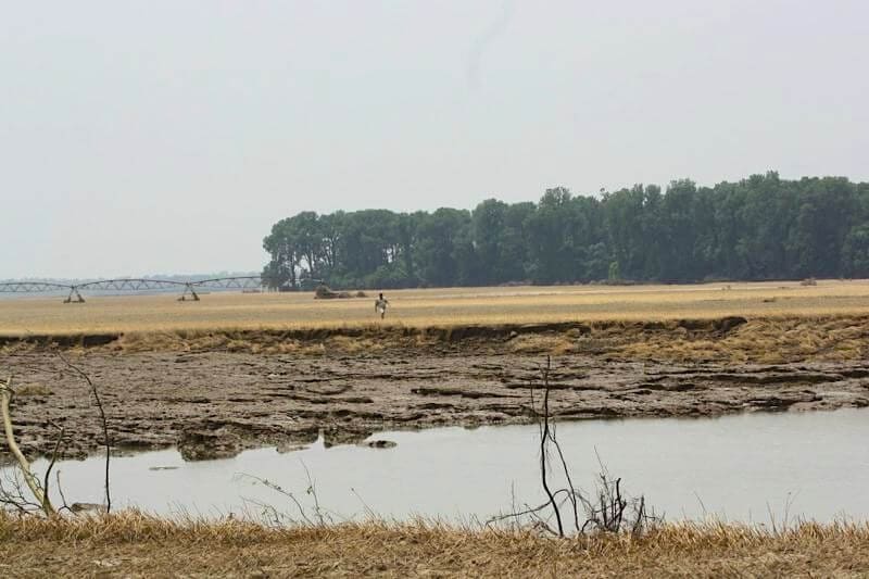 Arid field with sparse vegetation