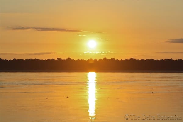 The Mississippi River in the Mississippi Delta. Photo by Delta Bohemian