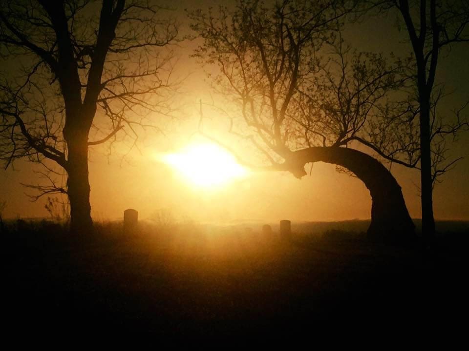 Sunset through silhouetted trees