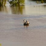 Fishermen in floor waters on the Mississippi River near the Isle of Capri. Photo by The Delta Bohemian