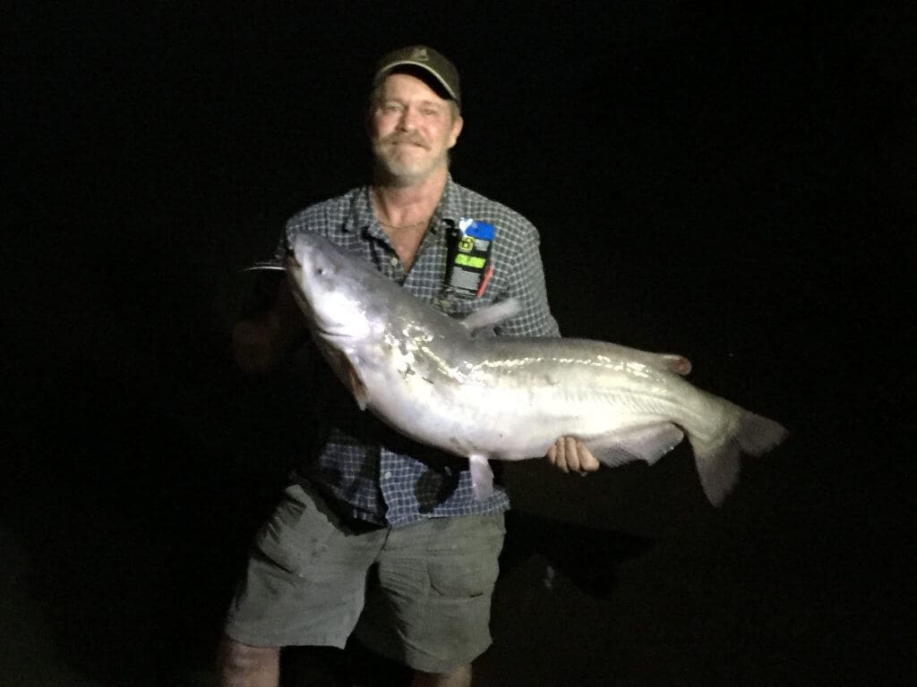 Man holding large catfish at night