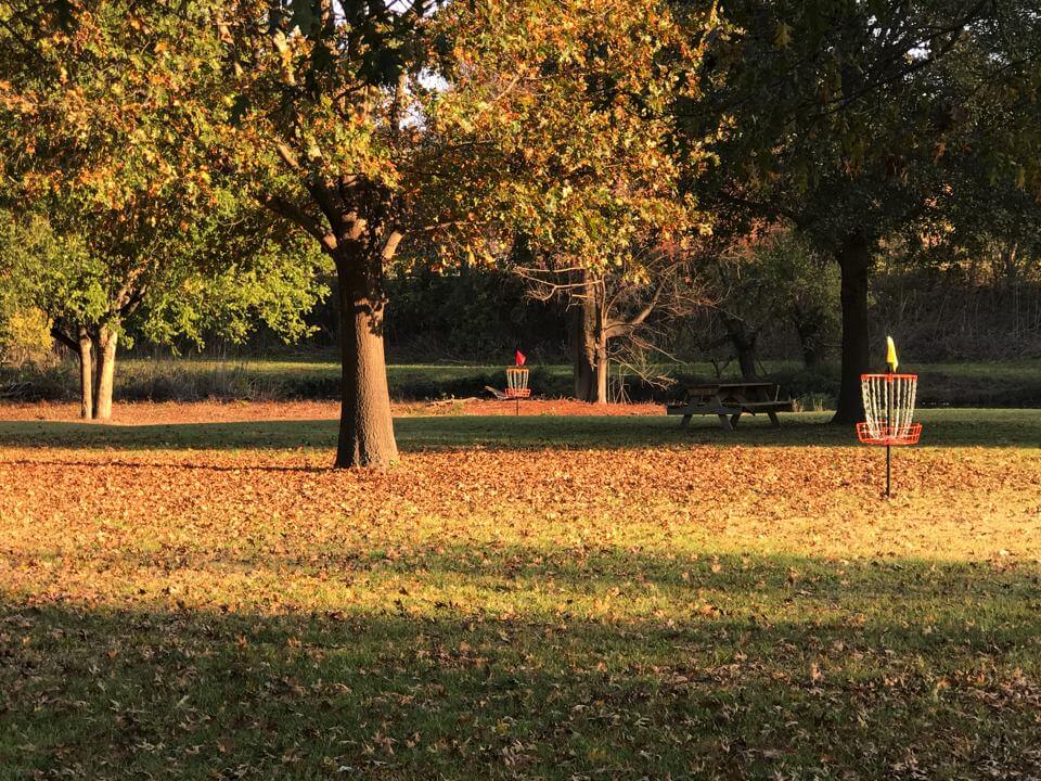Trees and picnic table in autumn park