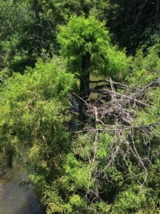 Disc Golf Course in Clarksdale from above