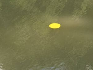 A floating disc