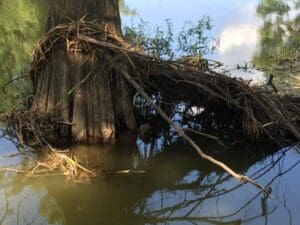 Clarksdale Disc Golf Course