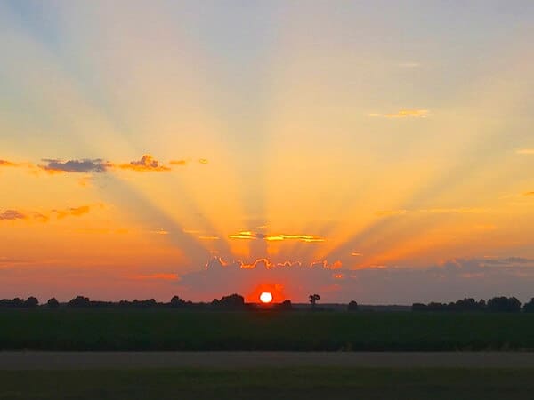 Sun setting behind distant trees
