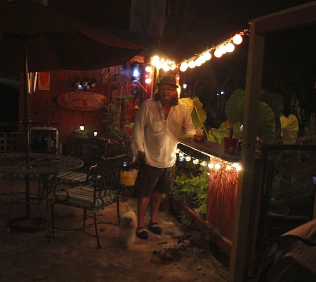 Evening garden scene with lights