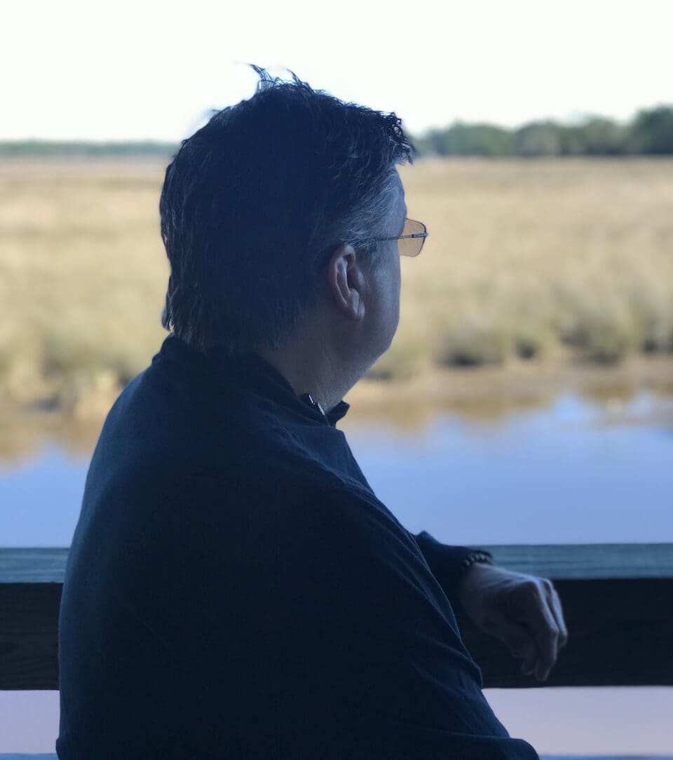 Person looking over a serene landscape