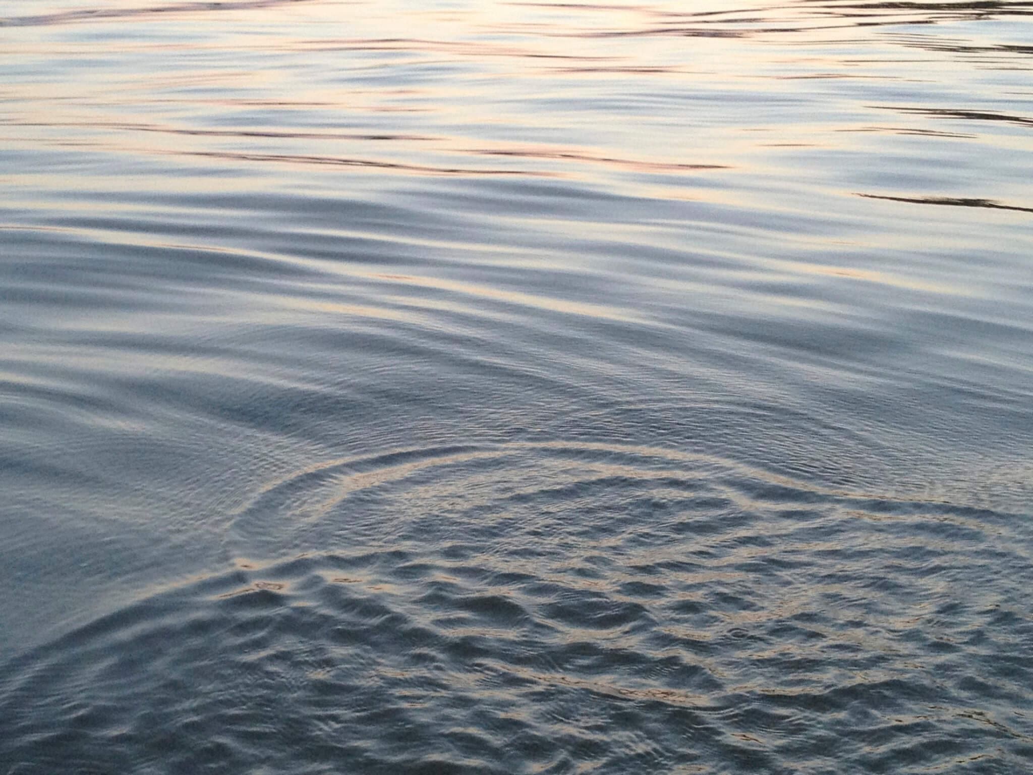 Calm water surface with gentle ripples
