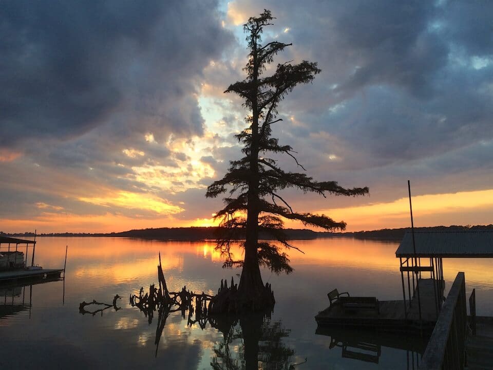 Tree reflected in calm sunset waters