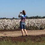 Woman taking a photo of a cotton field.