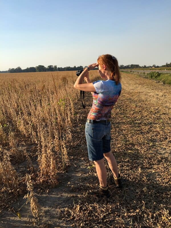 Person observing field with binoculars
