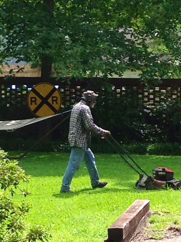 Lawn mowing in sunny garden setting