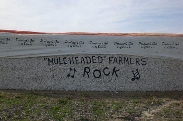 Mississippi Delta Cotton Module Message - by Jaby Denton