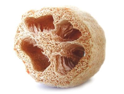 Natural loofah texture