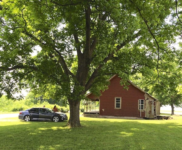 Serene countryside scene with tree and house