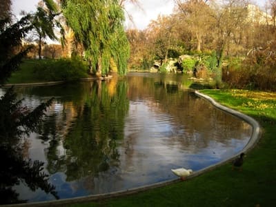 Serene pond surrounded by lush greenery