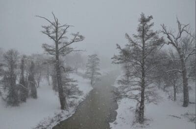 Snowy river landscape with bare trees