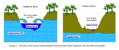 Sunflower River - flow from aquifer into River