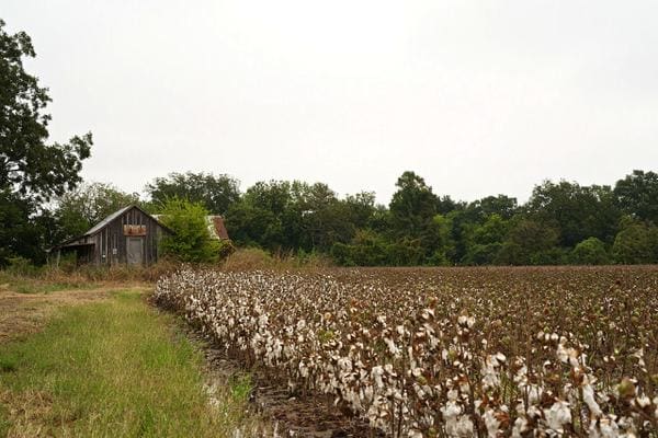 Tenant House near Dublin, Mississippi PHOTO BY DONALD CHRISTIAN