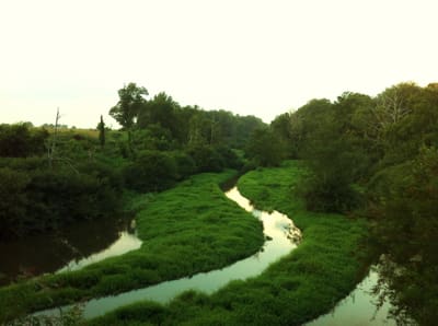 The Sunflower River in Coahoma County near Clarksdale, MS. Photo by The Delta Bohemian