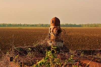 Old machinery with vines in field