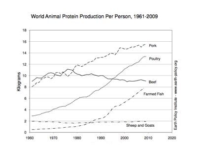 World Animal Protein Production Per Person, 1961-2009. Courtesy of the Earth Policy Institute.