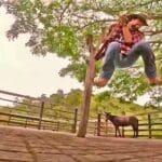 Man swinging on a rope with a donkey.
