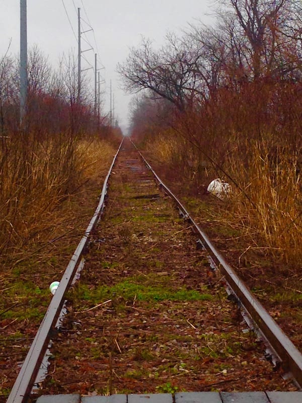 Abandoned railway in overgrown landscape