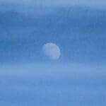 A waxing gibbous moon in a blue sky.