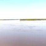 The Mighty Mississippi River - May 3, 2011. Photo by The Delta Bohemian