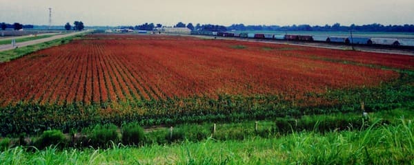 Farmland under cloudy sky