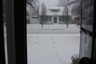 Winter scene from a front entrance