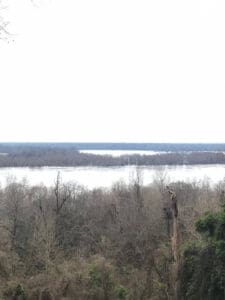 River view from a forested hillside.