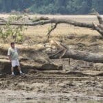 Person standing by fallen tree on muddy bank